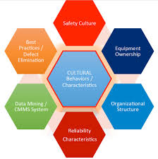 Maintenance Audit and Site Inspection ; Availability, Reliability and Compliance