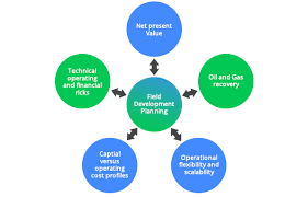 Integrated Field Development Planning