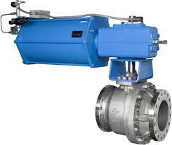 Valves & Actuators 